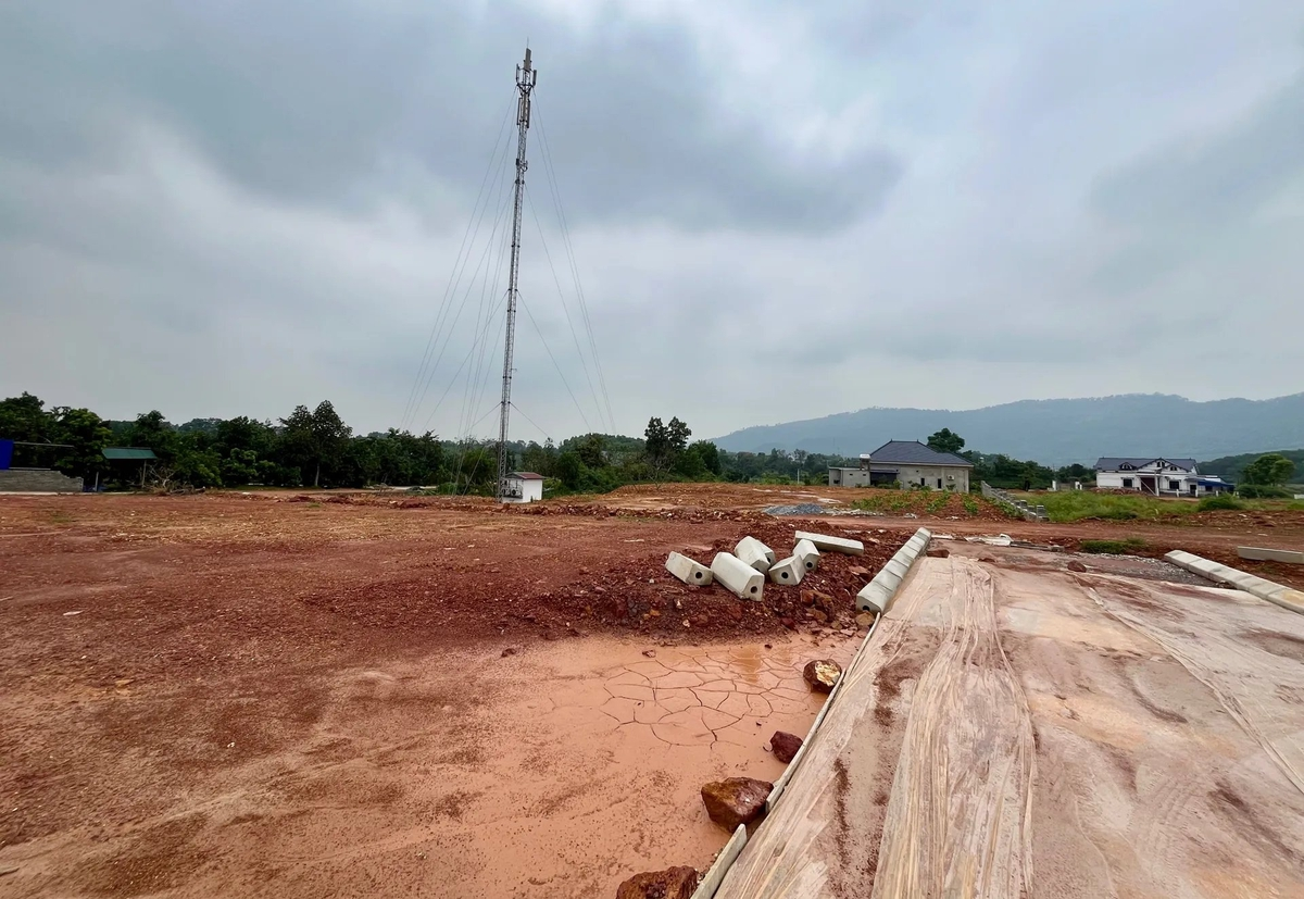 Quy định các hành vi vi phạm hành chính, hình thức, mức xử phạt và biện pháp khắc phục hậu quả. Ảnh: Tùng Nguyễn