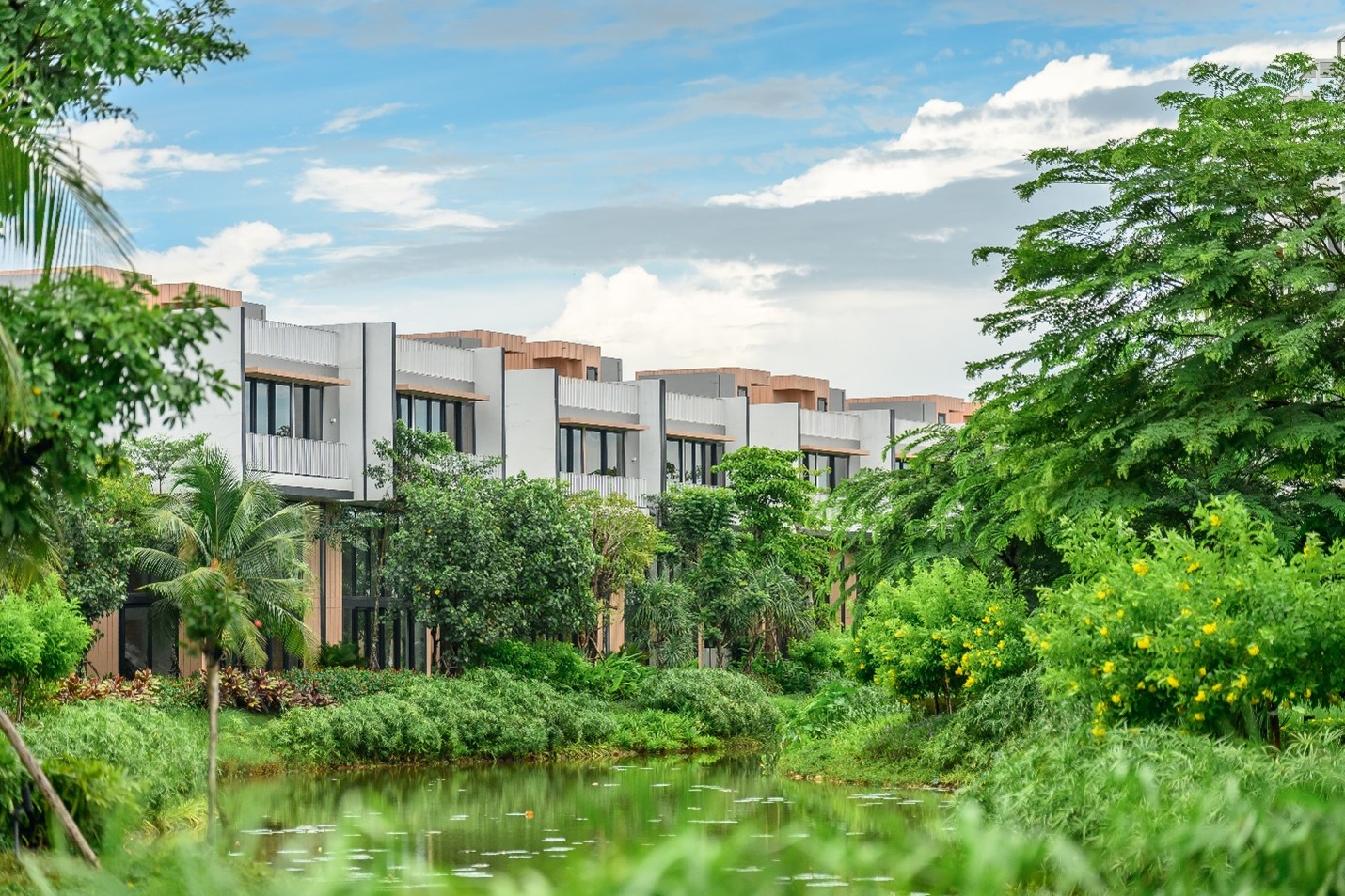 Ba cây cầu giúp Đại Phước tận dụng thế ‘sát vách’ TP HCM - Ảnh 8.
