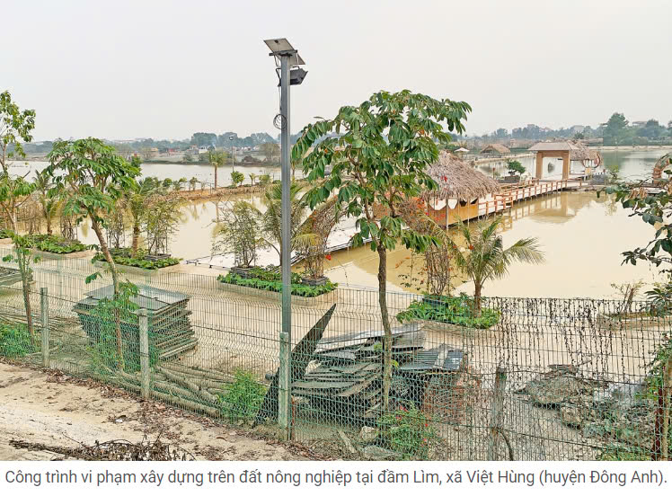 Vi phạm về đất đai tại các xã Đại Mạch, Việt Hùng (huyện Đông Anh): Cần sớm xử lý dứt điểm