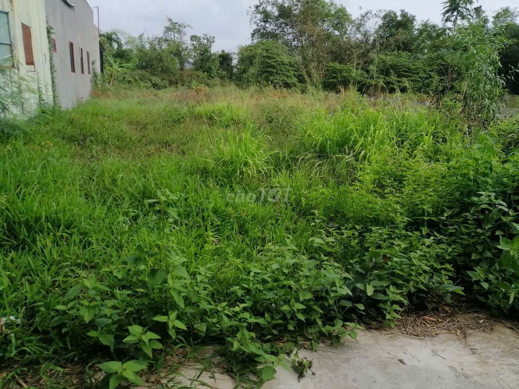 Đất thổ cư cần bán Đường ĐT. 835D, Xã Phước Vân