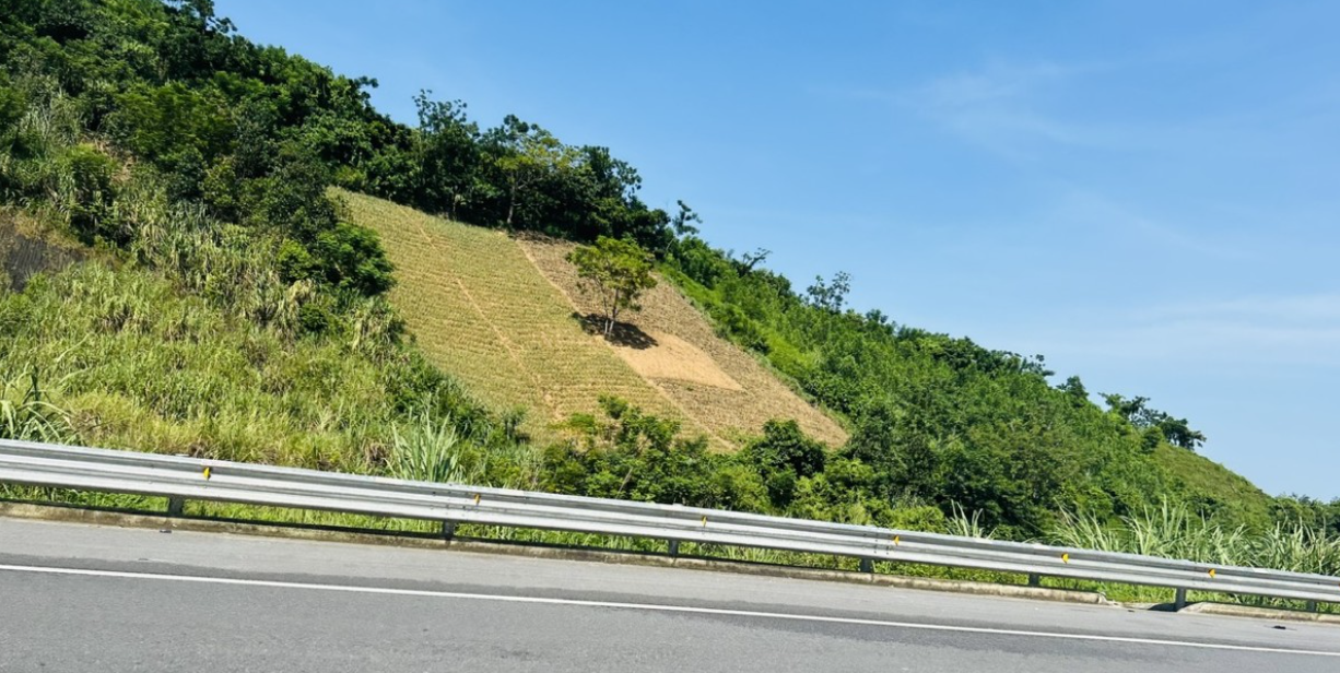 Hà Nội đặt mốc hoàn tất bàn giao đất nông, lâm trường trước ngày 15/9