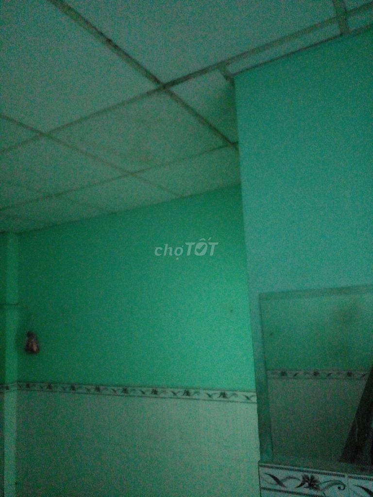 -1553.jpg