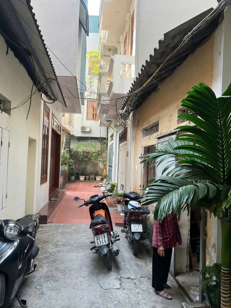 z6151304975963-8b3dab7ee698c698a021bcee943ae375.jpg