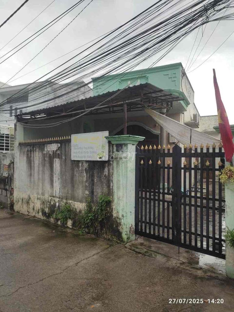 197.jpg
