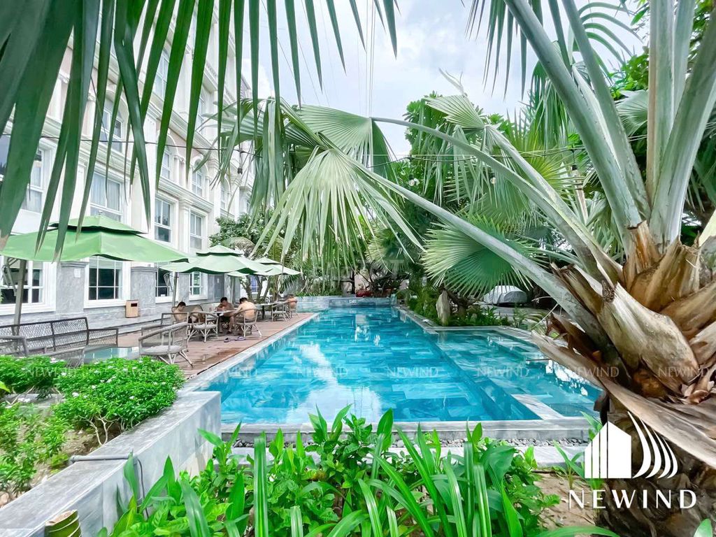 -4616.jpg