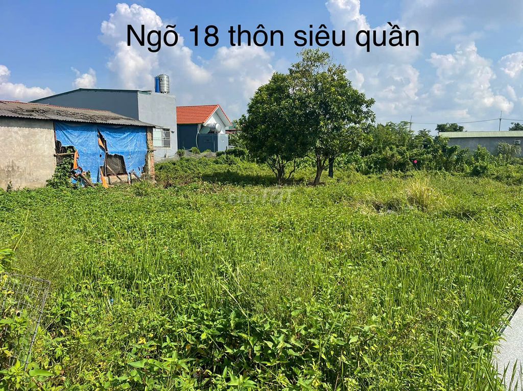 -598.jpg