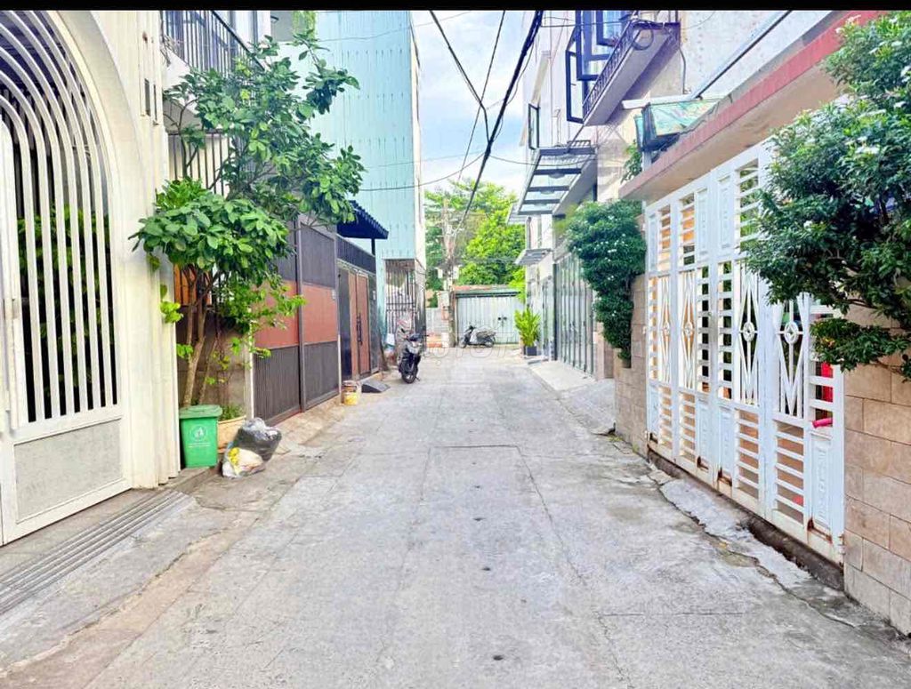 d-8.jpg