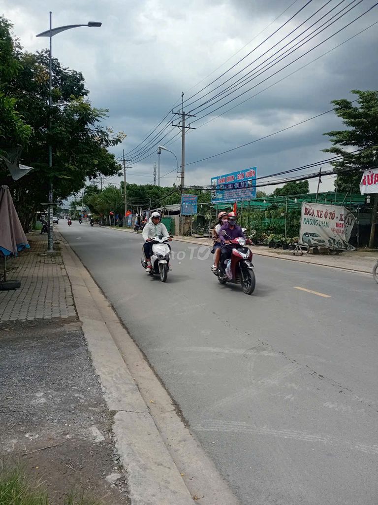 d9-8.jpg