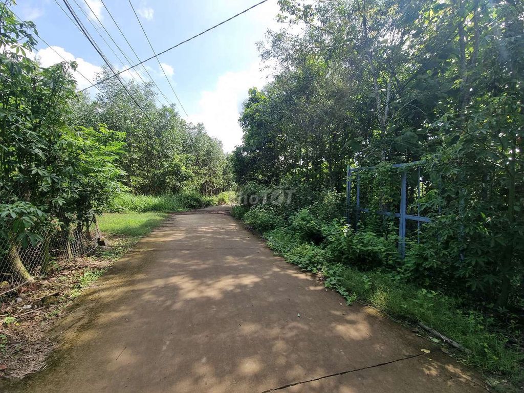 Cần bán gấp 2500m2 đất kèm nhà nuôi chim yến
