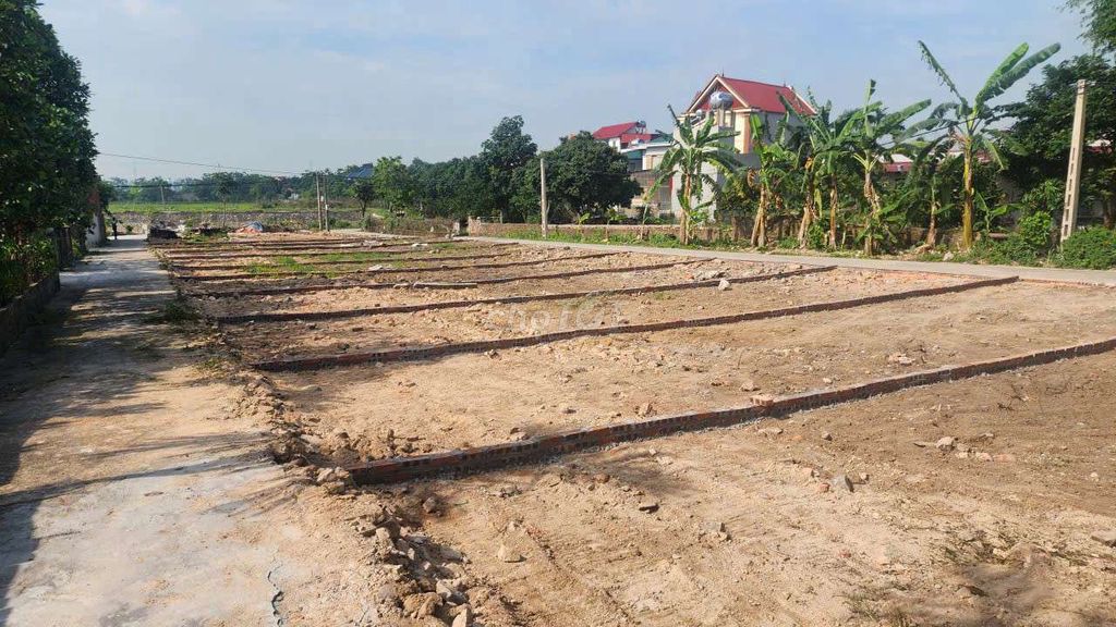 cần bán gấp
